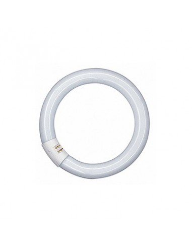 TUBO LED T9 CIRCULAR 15W Ø215mm