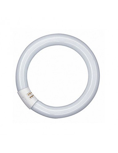 TUBO LED T9 CIRCULAR 20W Ø300mm